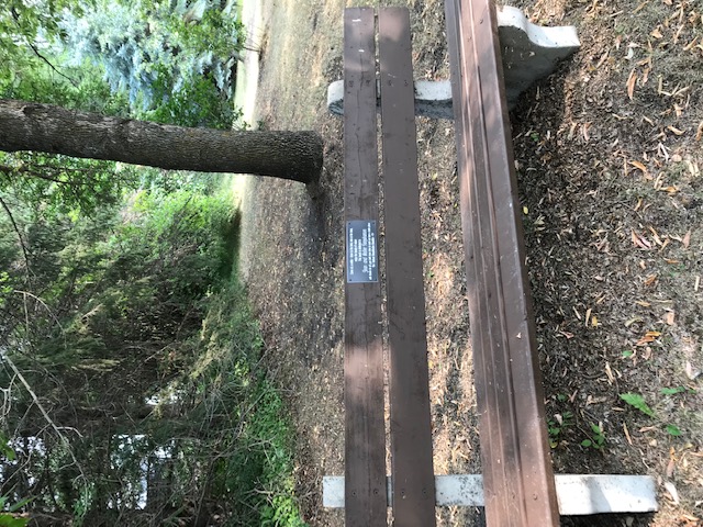 Dedicated Bench in Arboretum