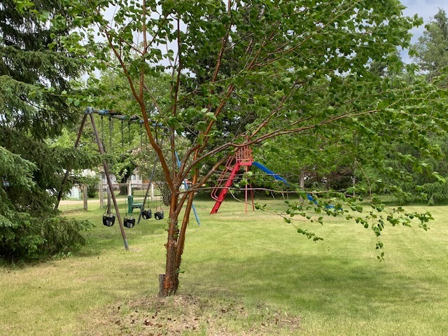 Playground in the Legion Park