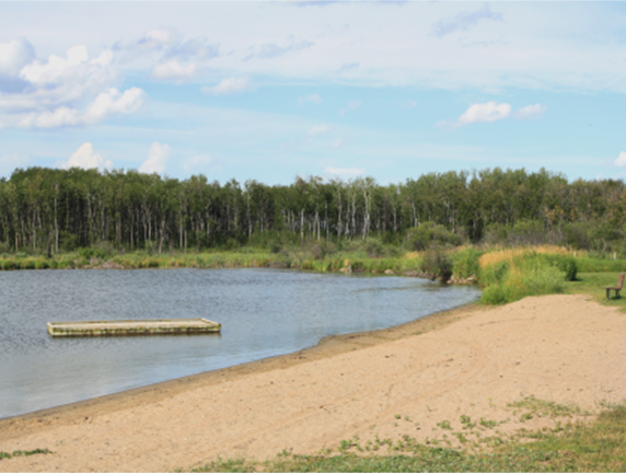 View of beach area from the concession