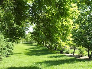 Slough view Park 