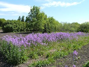 Slough View Park